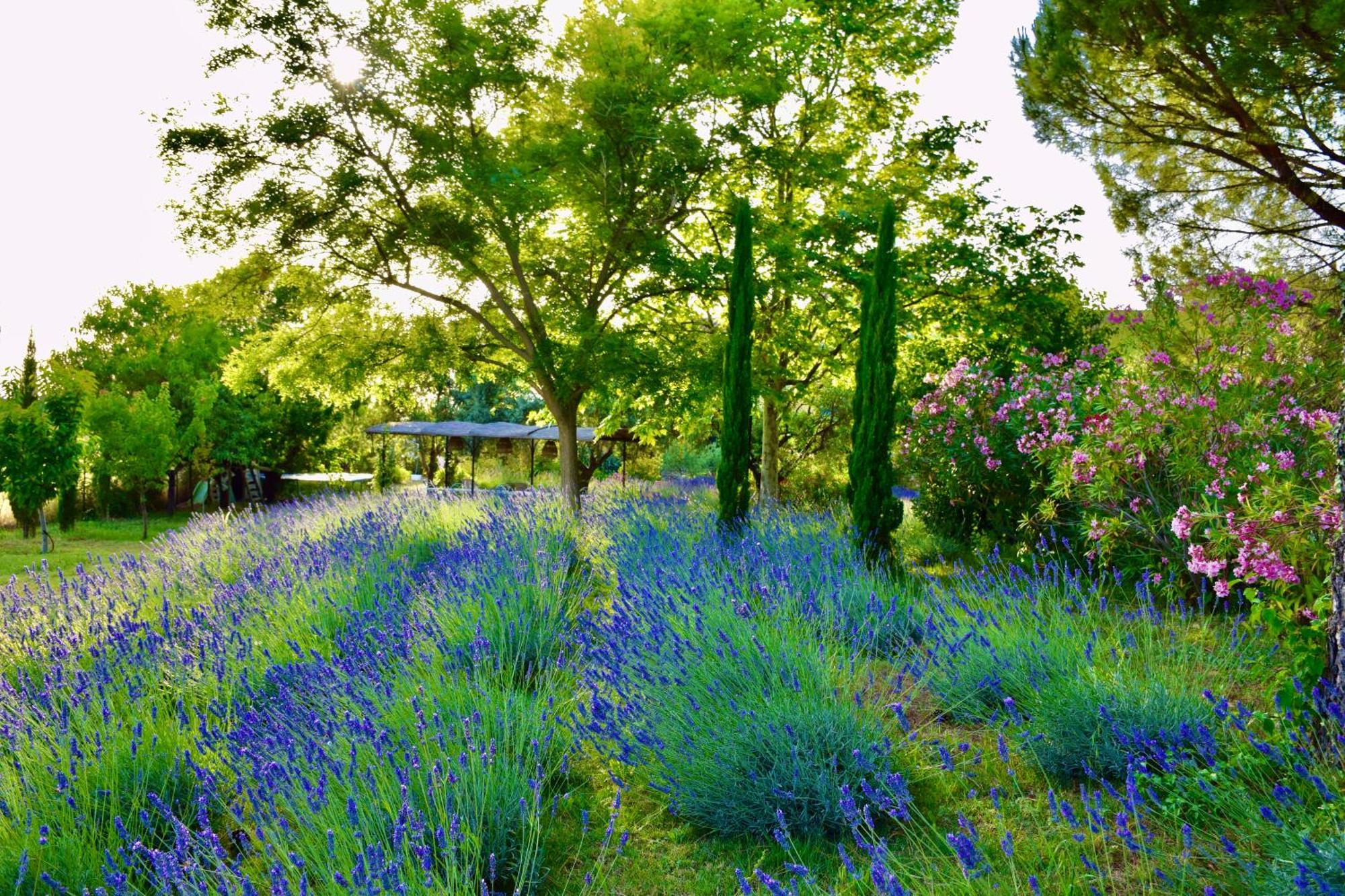 Bastide Saint-Didier Bed & Breakfast Saint Didier  Exterior photo